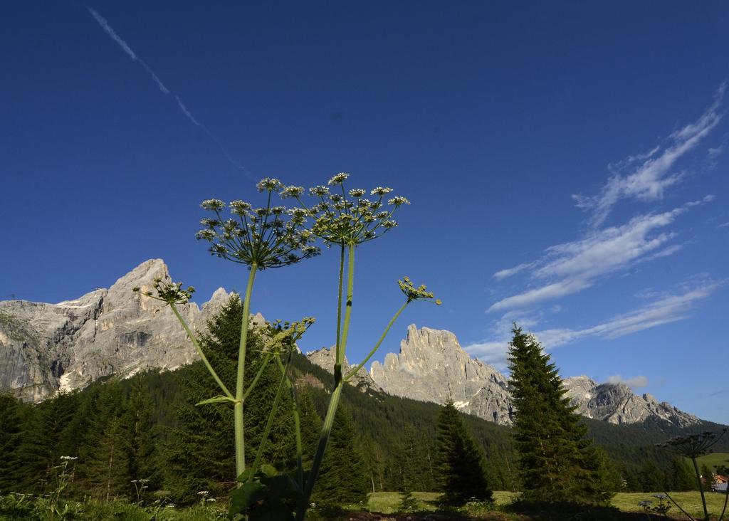 Hotel Regina San Martino Di Castrozza Exterior photo